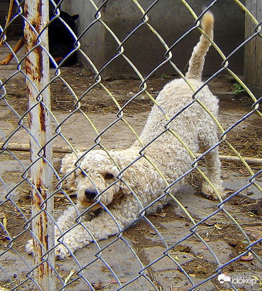 Te is örülsz a tavasznak ?