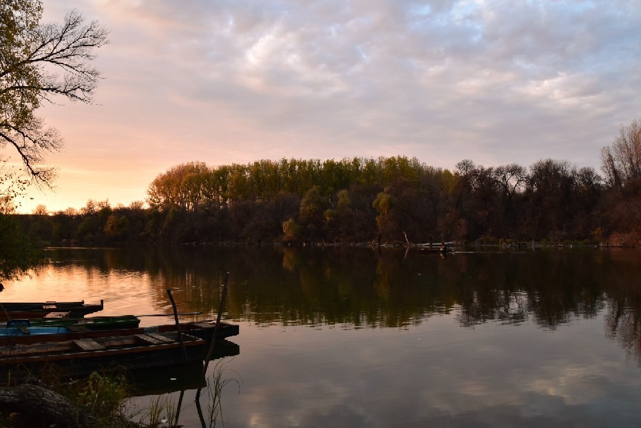 Hódmezővásárhely