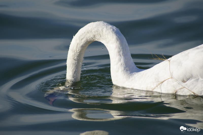 Vajon mi van a víz alatt?