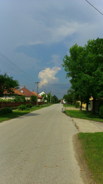 Orgovány