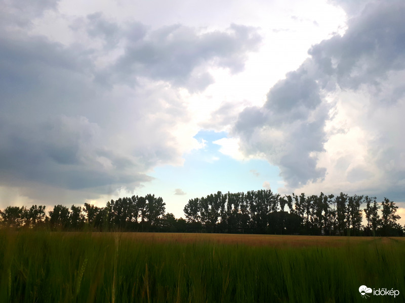 Észlelési fényképek