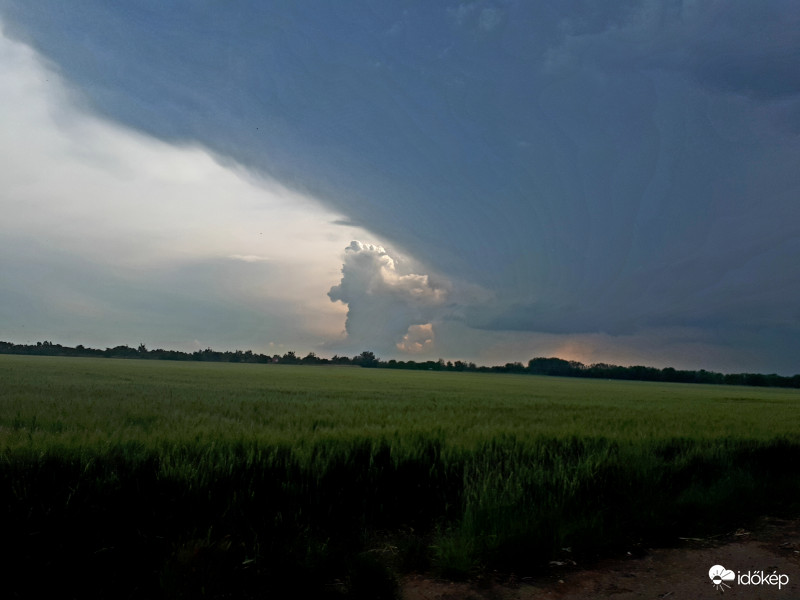 Észlelési fényképek