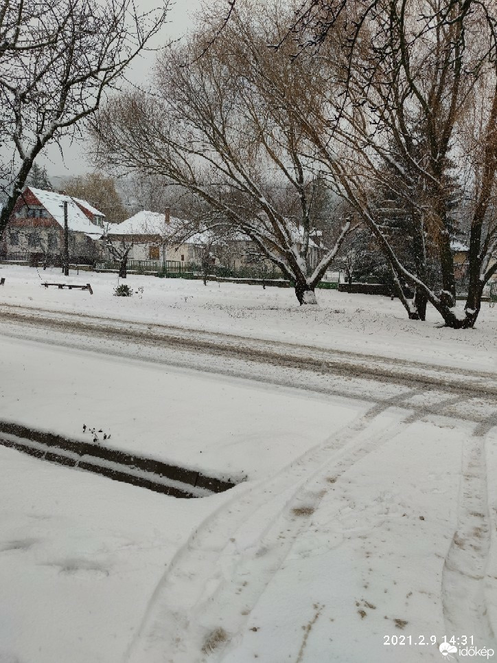 Észlelési fényképek