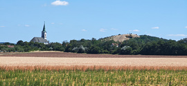 Veszprémfajsz határában