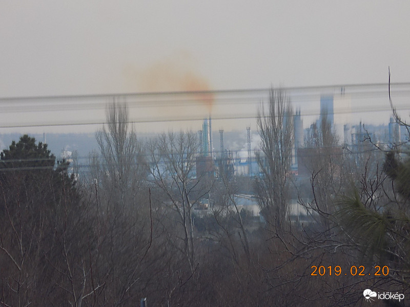 Élet,erő,egészség.