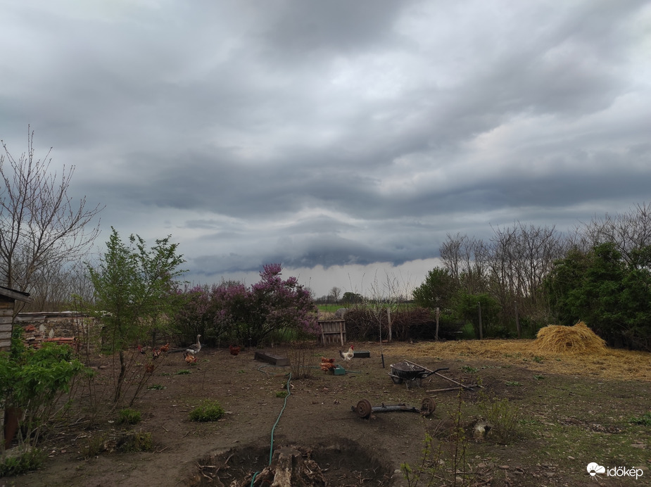 Észlelési fényképek