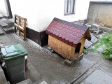Karancslapujtő