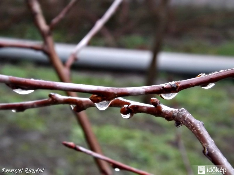 Csapadékos hét kezdet