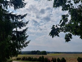 Farkasgyepű