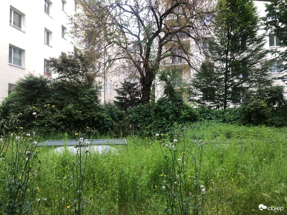 Wien - Wieden