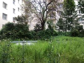 Wien - Wieden