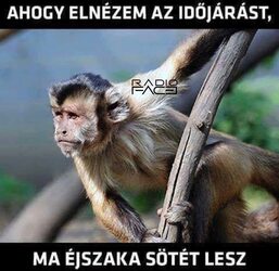 Előre jelzés