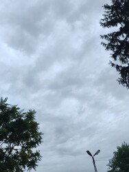 Csanádapáca