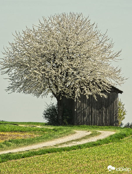 Csengerújfalu