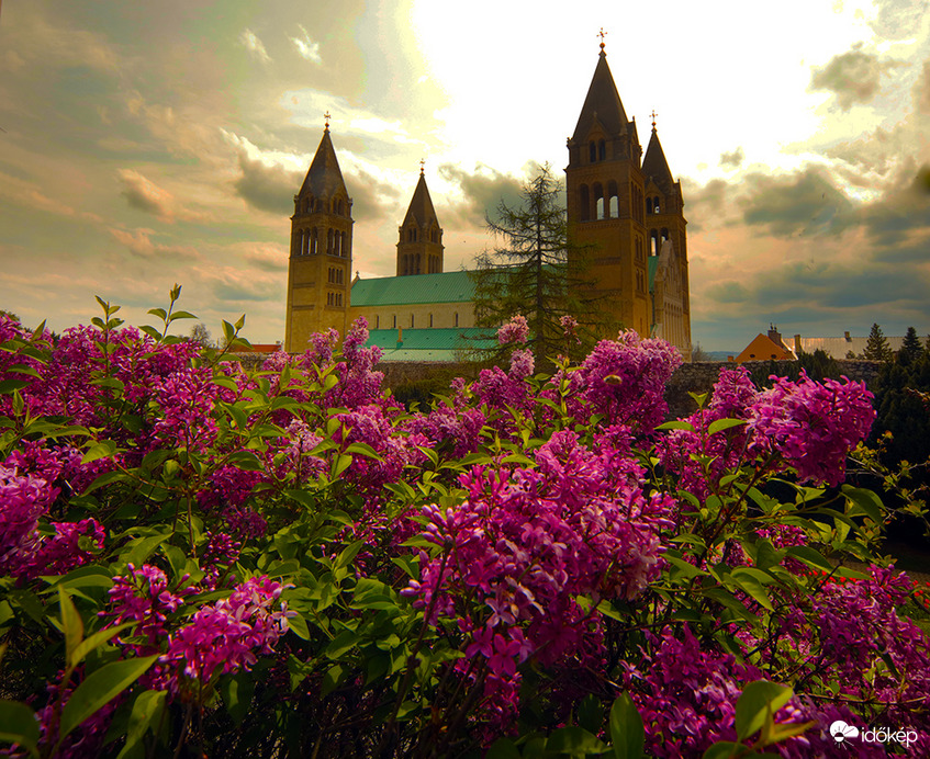 Már nyílik az orgona és a vadgesztenye.