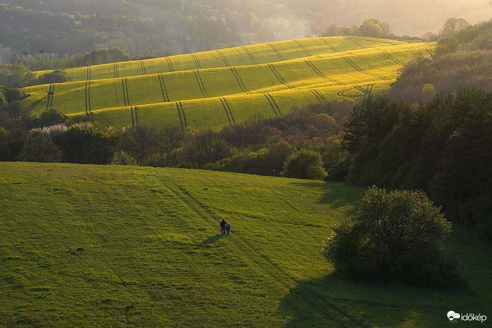 Az Abaligeti szőnyeg 