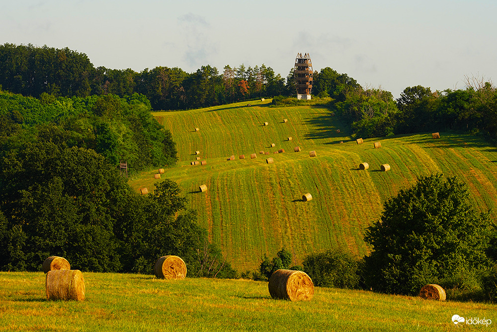 Napszentély kilátó 