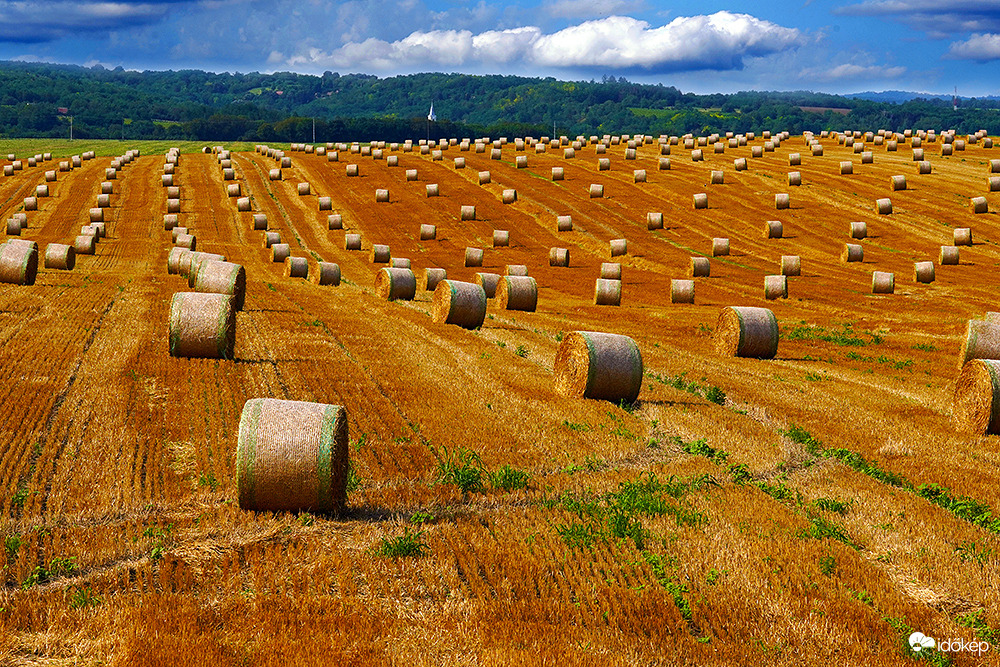 Amig nem számoltad meg nincs vacsora!