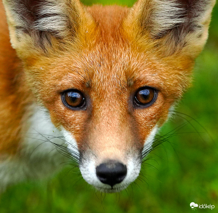 "Kicsit szomorkás a hangulatom máma"