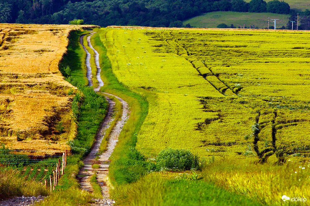 "Közeli helyeken, dombokon, hegyeken"