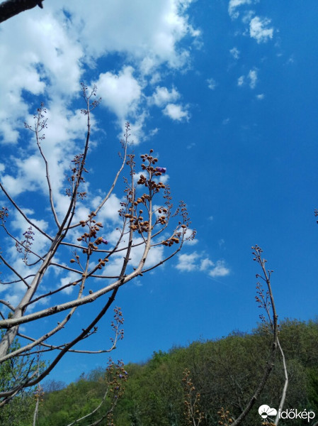 Észlelési fényképek