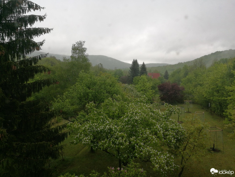 Észlelési fényképek