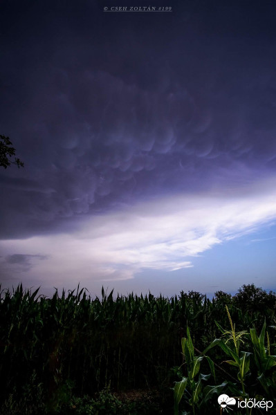 Észlelési fényképek