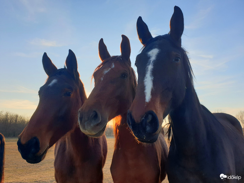 Észlelési fényképek