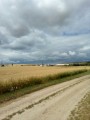 Szomor