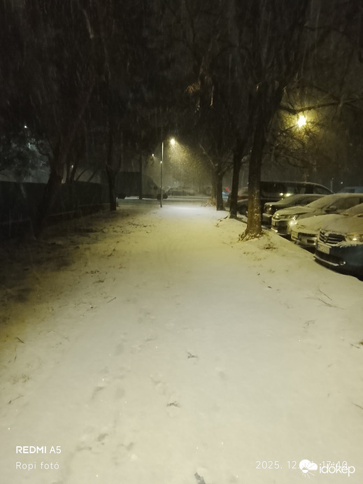 Észlelési fényképek