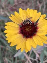 Őszi betakarítás :)