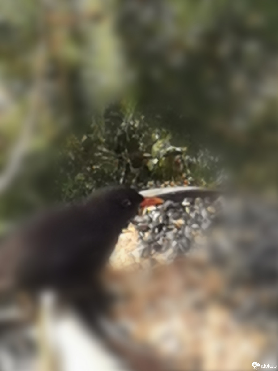 Budapest XII.ker - Zugliget