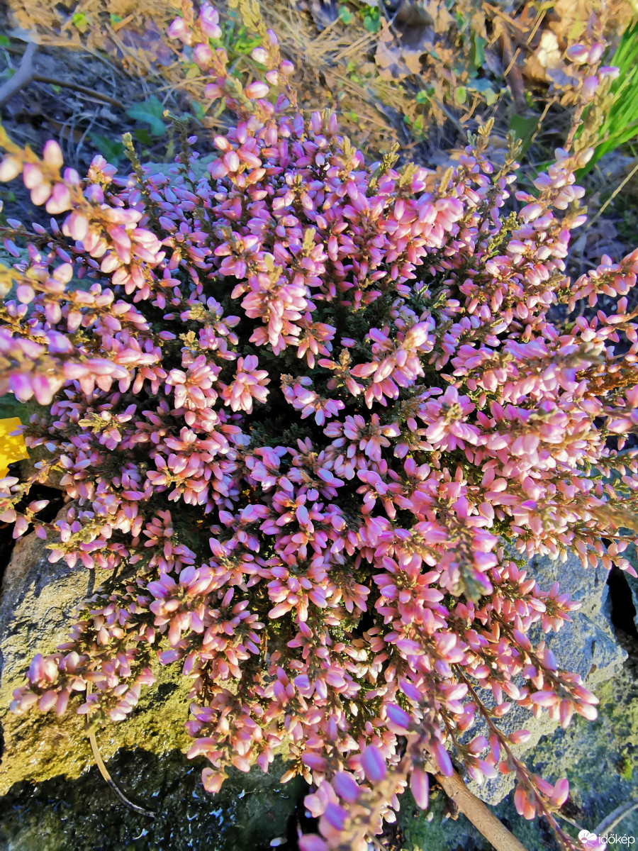 Budapest XII.ker - Zugliget