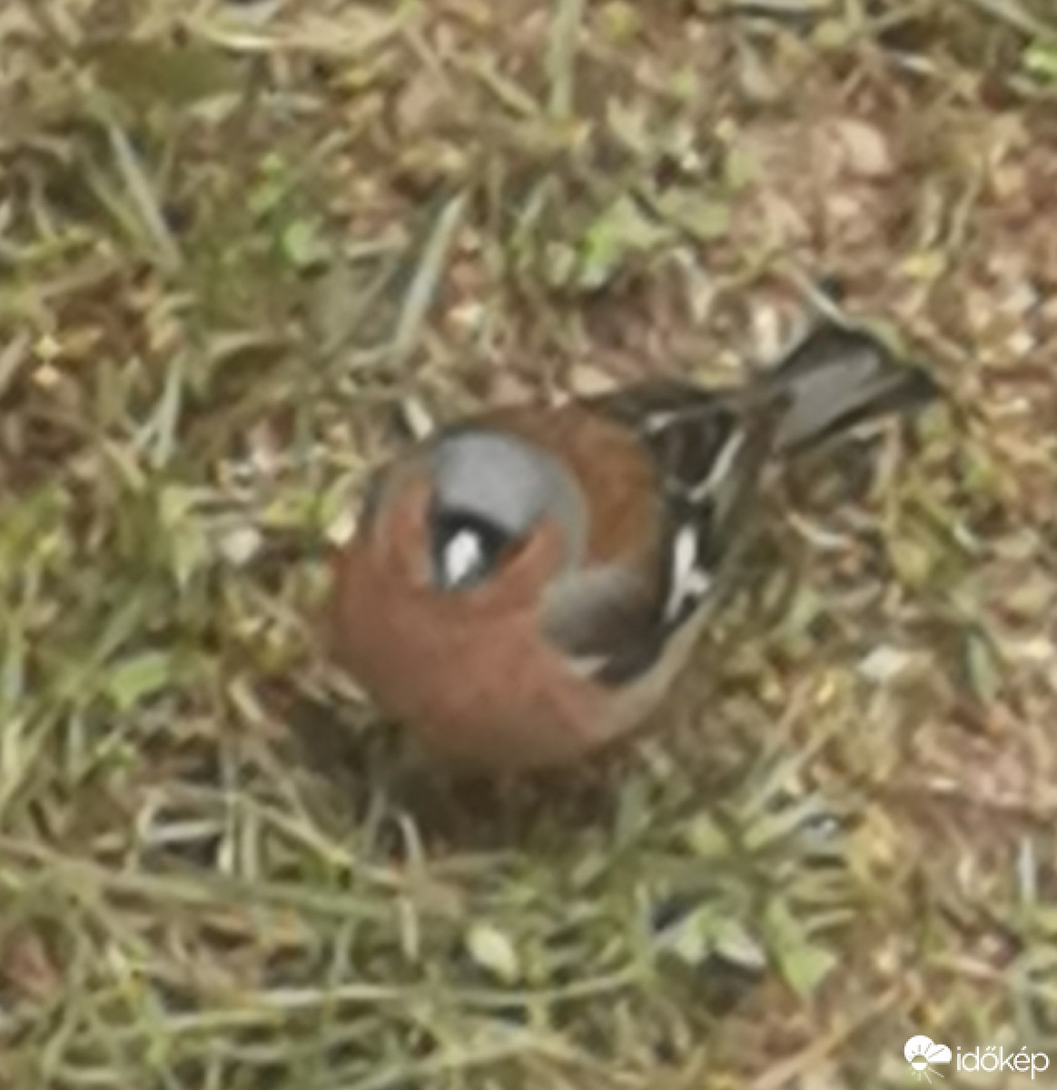 Budapest XII.ker - Zugliget