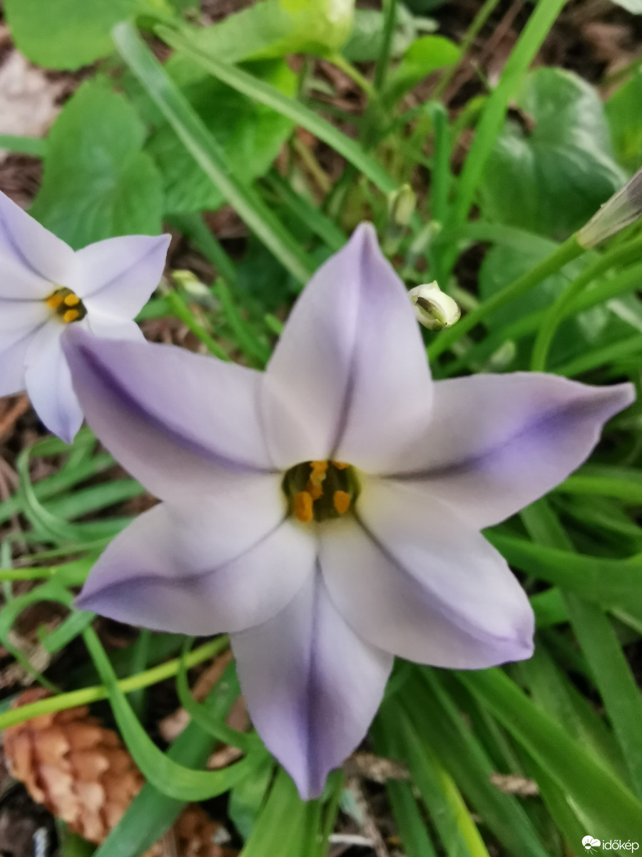 Budapest XII.ker - Zugliget