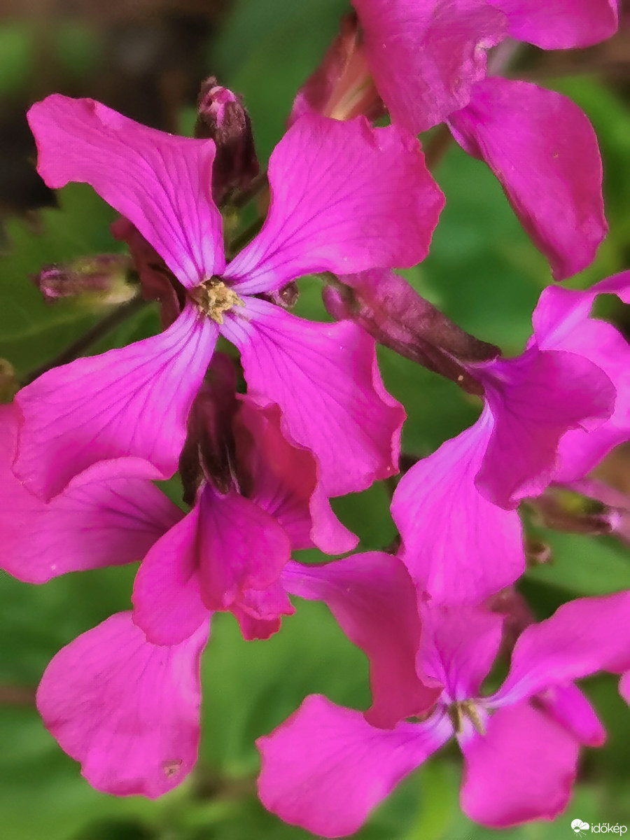 Budapest XII.ker - Zugliget