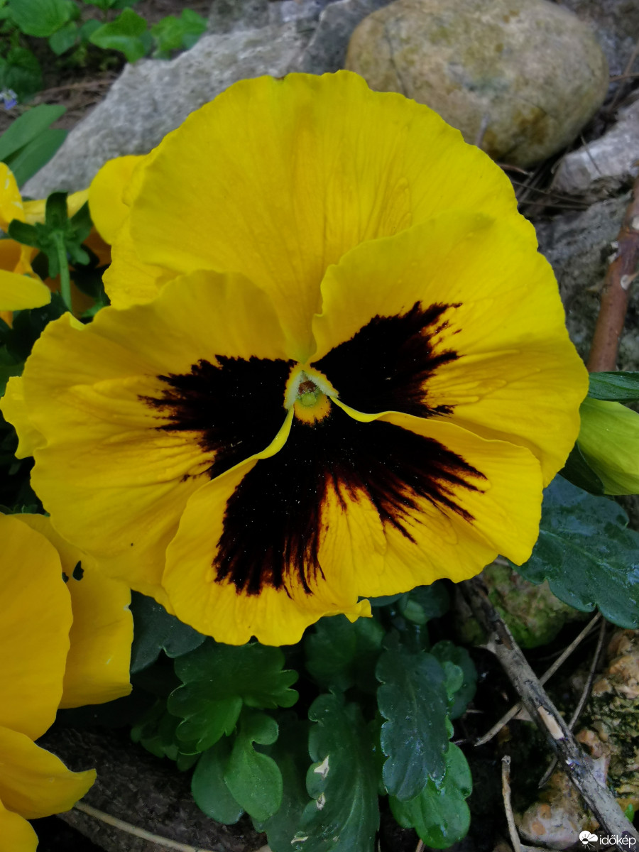 Budapest XII.ker - Zugliget