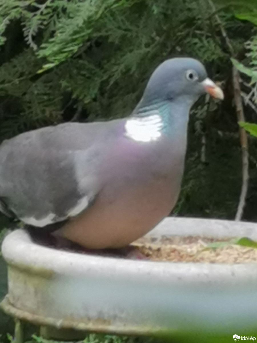 Budapest XII.ker - Zugliget