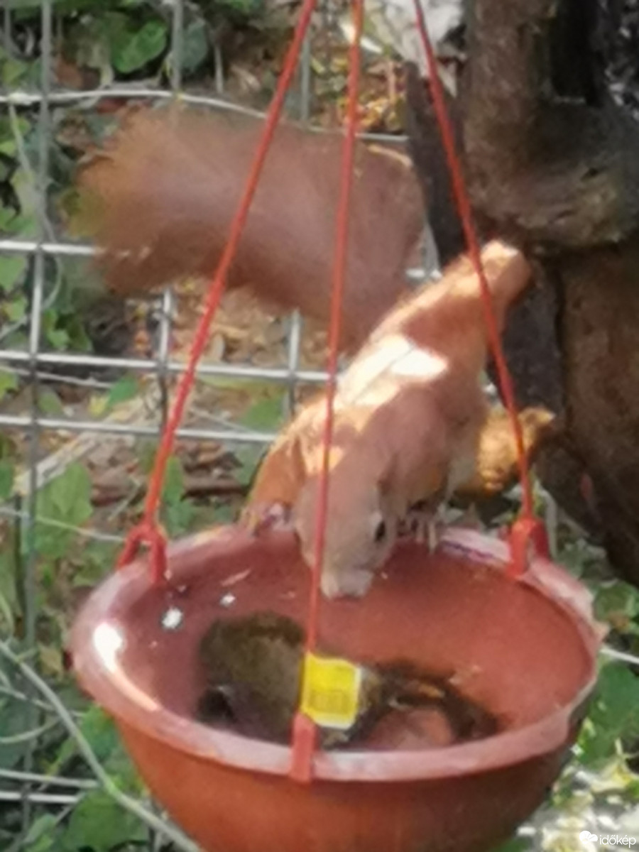 Budapest XII.ker - Zugliget