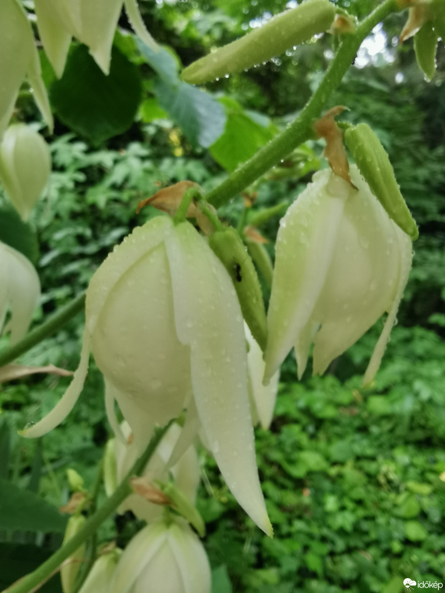 Budapest XII.ker - Zugliget