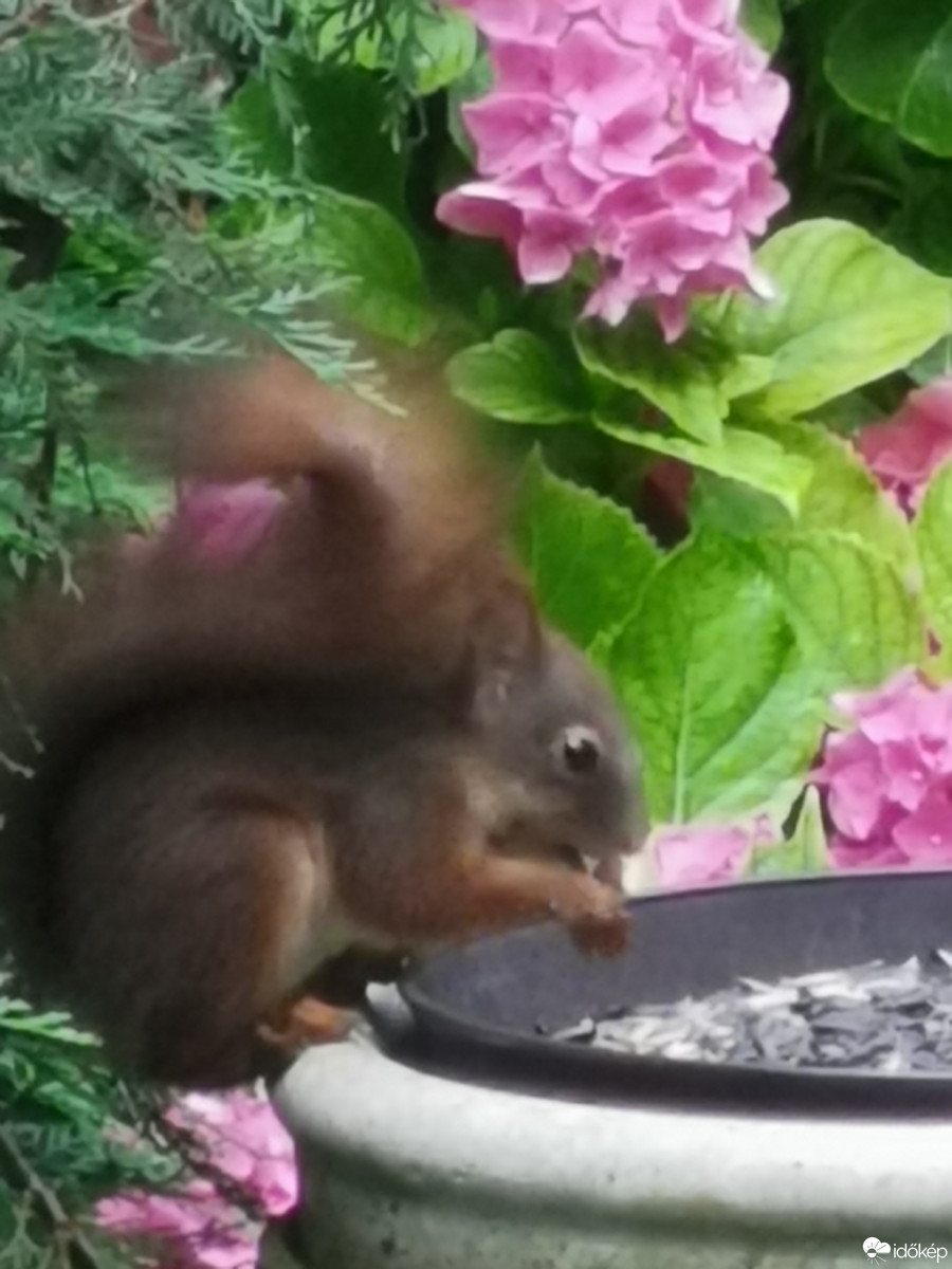 Budapest XII.ker - Zugliget