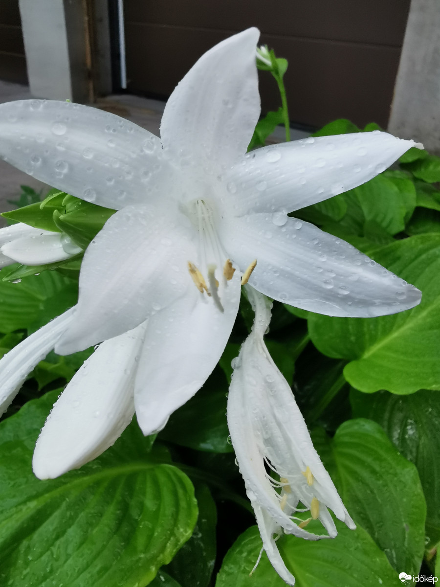 Budapest XII.ker - Zugliget