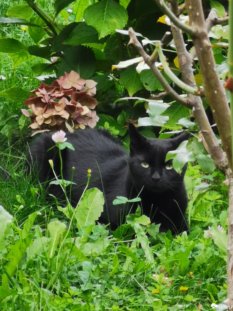 Budapest XII.ker - Zugliget