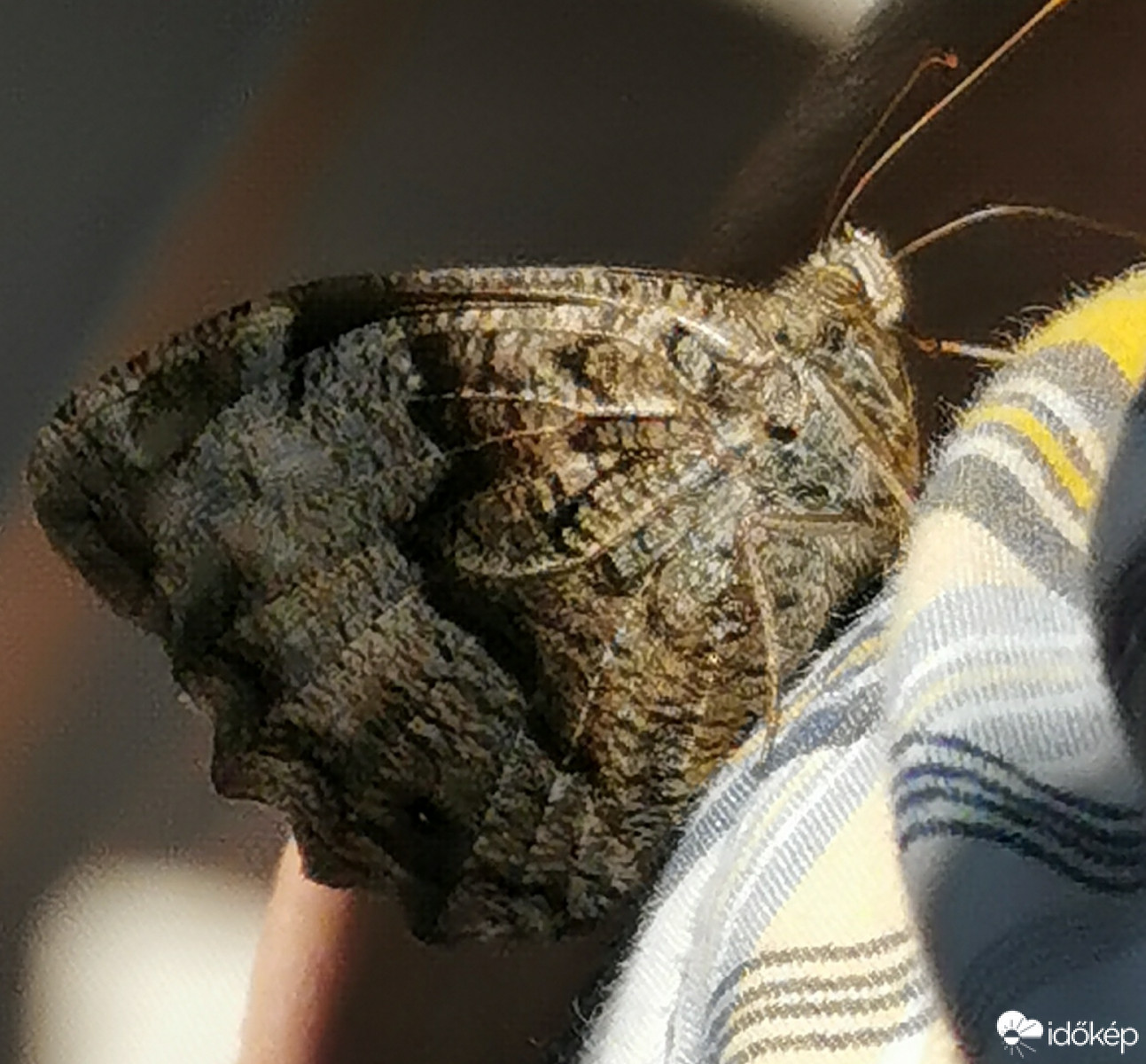 Budapest XII.ker - Zugliget