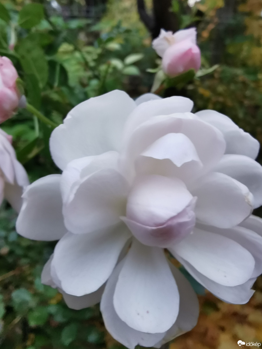 Budapest XII.ker - Zugliget