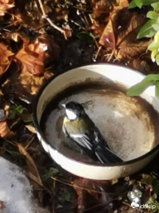 Budapest XII.ker - Zugliget