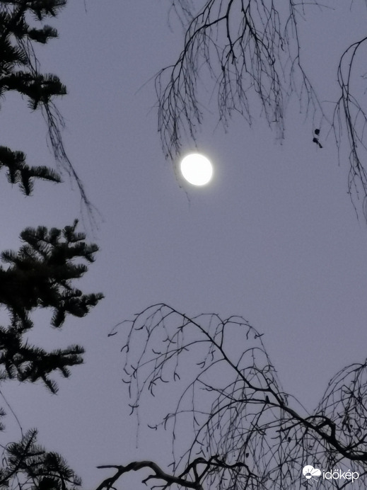 Budapest XII.ker - Zugliget