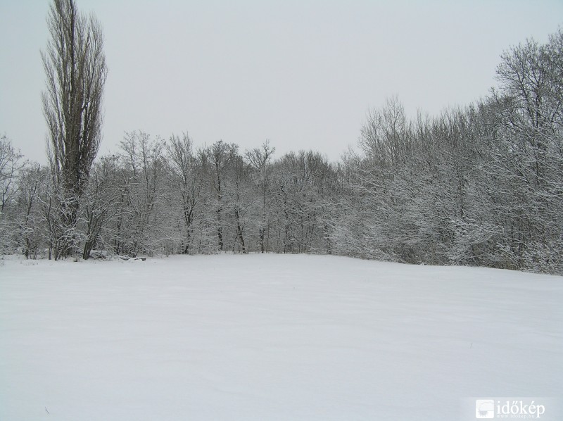 Természet 6