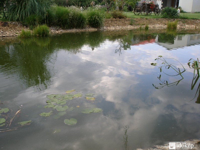 Felhő