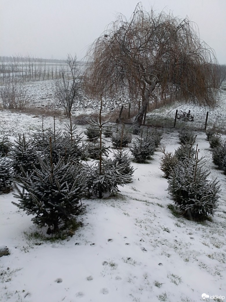 Észlelési fényképek